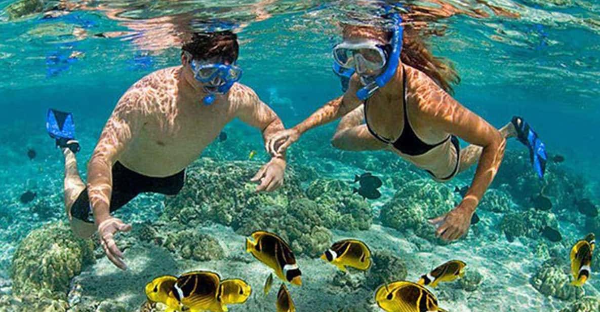 Amazing Snorkeling at Cham Island - Cham Island snorkeling from Hoi An or Da Nang: what the day is really about