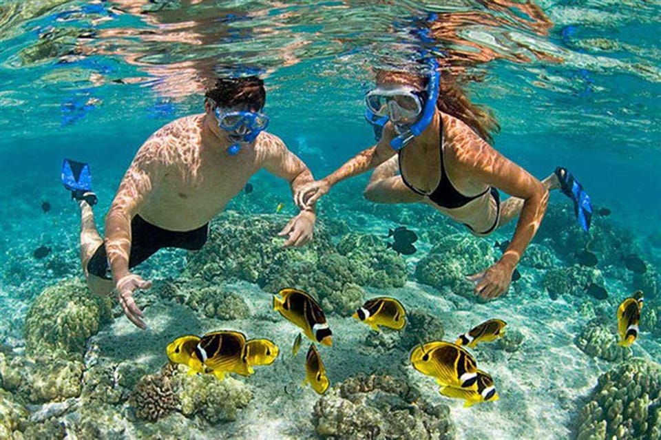 Amazing Snorkeling at Cham Island - Second snorkeling site at 11:30: reef photos and another chance in the water