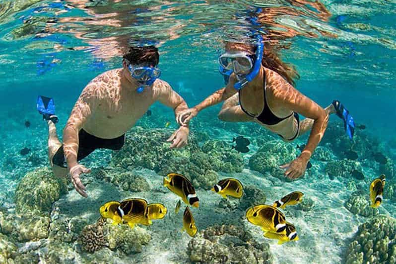 Amazing Snorkeling at Cham Island - Timing, group rhythm, and what to watch on the day