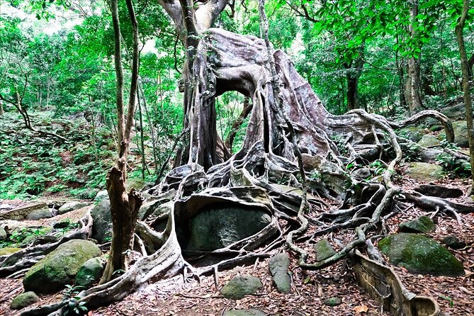 Ba Na Hill/Golden Bridge/Dragon Bridge Customize Tour by Private - Linh Ung Pagoda, Tinh Tam Garden, and quiet breaks