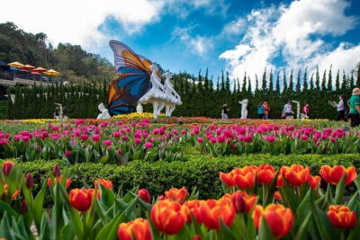 Ba Na Hills & Golden Bridge with Fantasy Park Tour-Optional Lunch - Cable car first: make the ride part of your plan