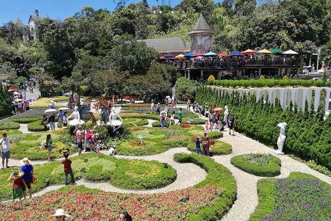 Ba Na Hills - Golden Hand Bridge Full Day Tour - Transfers, guide, and group rhythm (including one rough note)