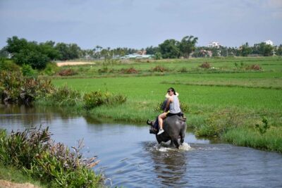 Buffalo Riding and basket boat tour from Da Nang/ Hoi An - Bay Mau Coconut Forest and Cam Thanh: Where the Countryside Looks Like It’s Alive