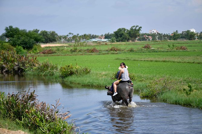 Buffalo Riding and basket boat tour from Da Nang/ Hoi An - Bay Mau Coconut Forest and Cam Thanh: Where the Countryside Looks Like It’s Alive