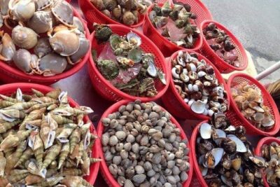 Cham Island Day Tour & Snorkeling from Da Nang with Group tour - Huong Beach snorkeling: make the most of 30 minutes