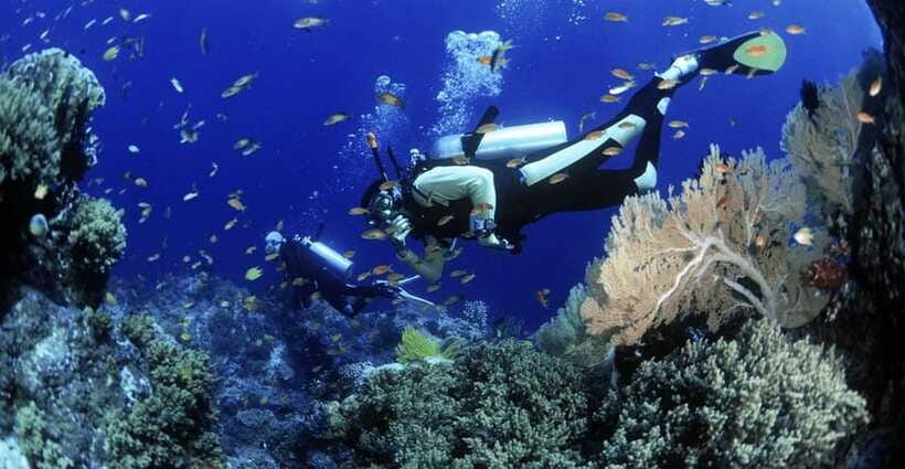 Cham Islands Snorkeling Tour by Speedboat : Hoi An/Da Nang - Bai Ong versus Bai Chong: how to choose what you’ll care about most