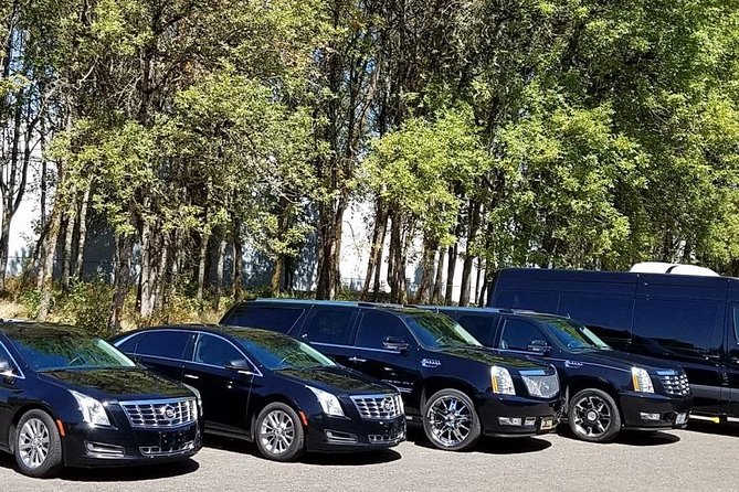 Da Nang Airport Arrival Or Departure By Private Transfers - The Ride: Air-Conditioned Minivan, Private Vehicle Service, and Comfort