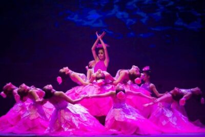Da Nang: Charming Da Nang Show Ticket - What happens on stage: traditional music, dance, and Cham influences