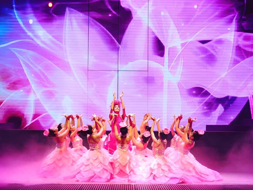 Da Nang: Da Nang Charming show ticket - Who this Da Nang night is best for