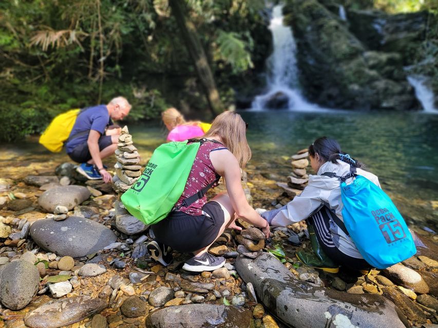 Da Nang/Hoi An to Hue via Bach Ma National Park Trekking - From Da Nang or Hoi An to Hue, but make it scenic