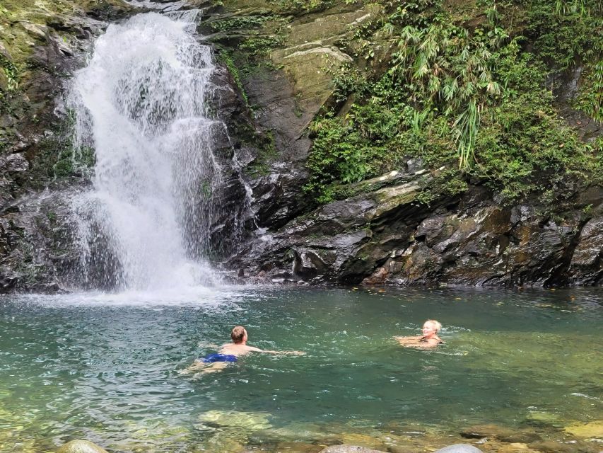 Da Nang/Hoi An to Hue via Bach Ma National Park Trekking - Arriving at Bach Ma: small group, guided, and practical