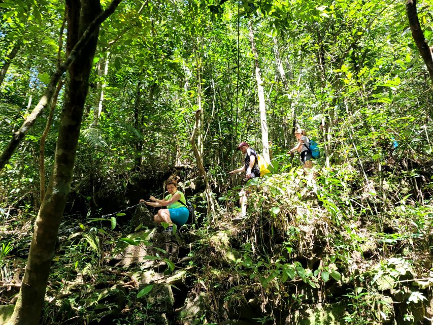 Da Nang/Hoi An to Hue via Bach Ma National Park Trekking - Trek Stage 2: Do Quyen Waterfall and that 300m drop