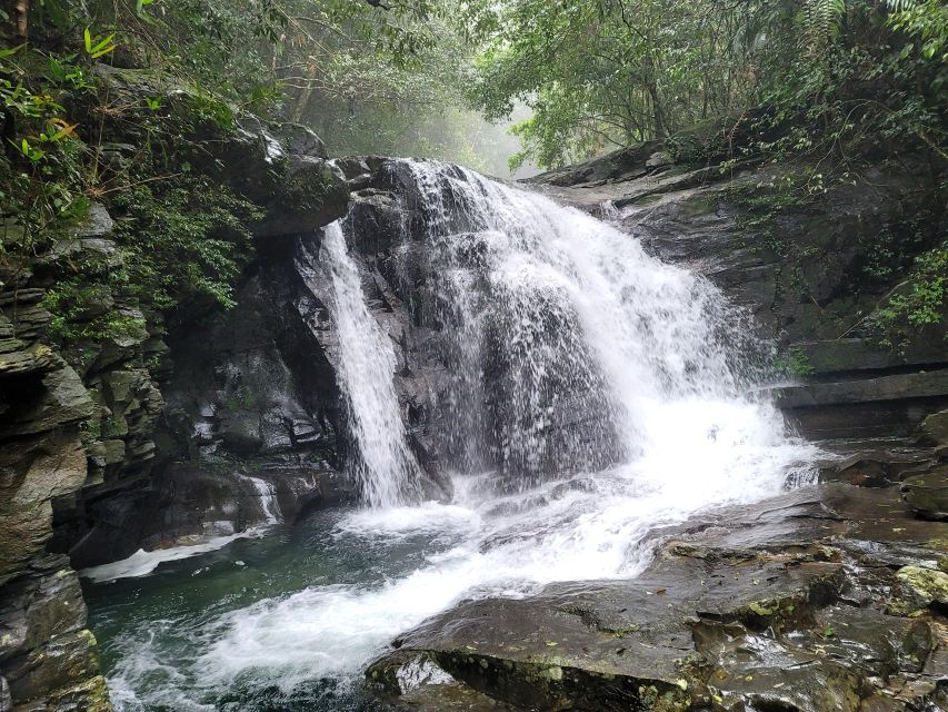 Da Nang/Hoi An to Hue via Bach Ma National Park Trekking - Picnic lunch with mountain views, not just a random stop