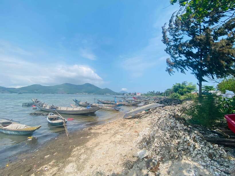 Da Nang : Private Day Trip to Imperial City - Hue - Who this Hue day trip suits best