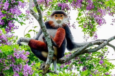 Explore Son Tra Peninsula, Monkey Mountain, Lady Buddha half-day - Helicopter pad stop: the weirdly interesting in-between