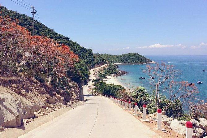 From Da Nang/ Hoi An: Cham Island Day Tour with snorkeling fun - Cham Islands: why this day trip works from Da Nang or Hoi An
