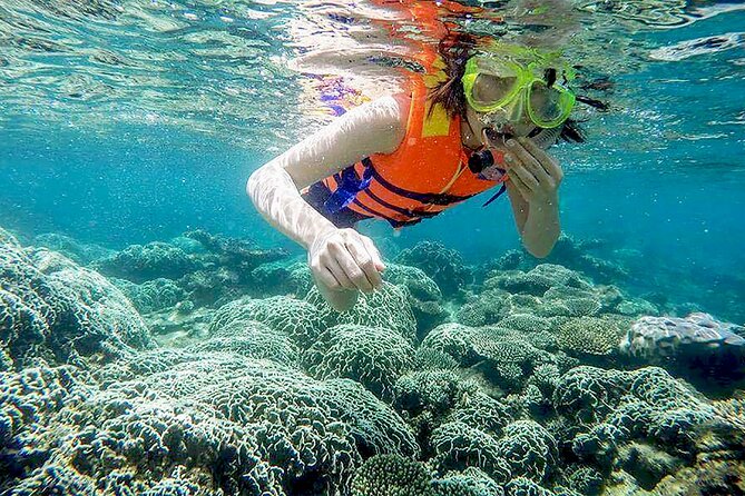From Da Nang/ Hoi An: Cham Island Day Tour with snorkeling fun - Lunch and bottled water: the included break that prevents the hangry spiral