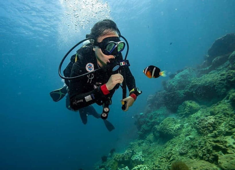 From Da Nang/Hoi An: Cham Islands Tour with Snorkeling - Price and value: what $32 includes (and what can raise the bill)