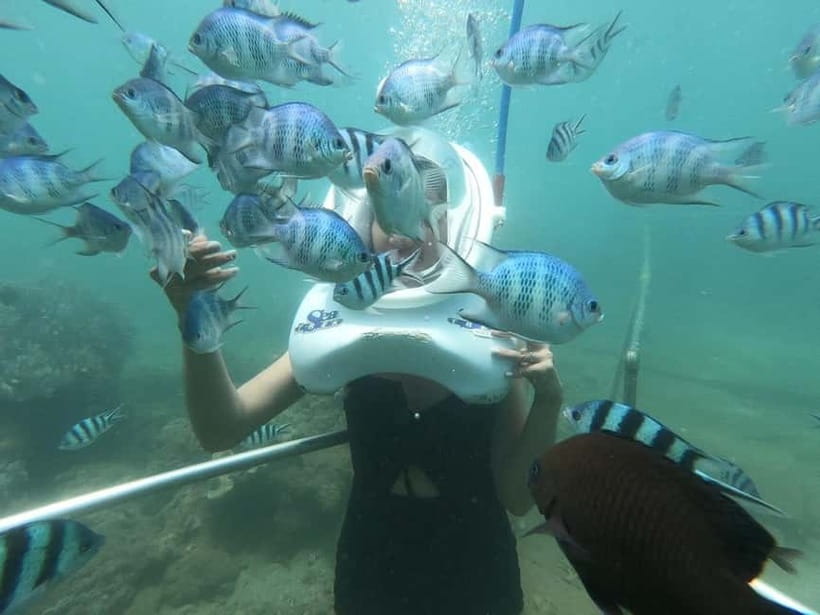 From Da Nang/Hoi An: Cham Islands Tour with Snorkeling - Who this Cham Islands snorkeling tour fits best
