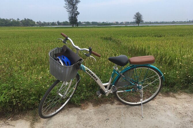 Hoi An countryside biking tour, water buffalo+ basket boat ride - Water buffalo riding: the included fee moment that changes the photos