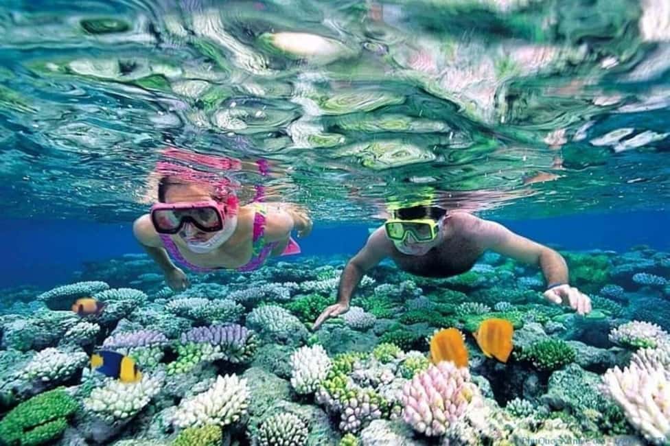 Hoi An/Da Nang: Cham Islands Snorkeling by Speedboat w Lunch - Key things to know before you book