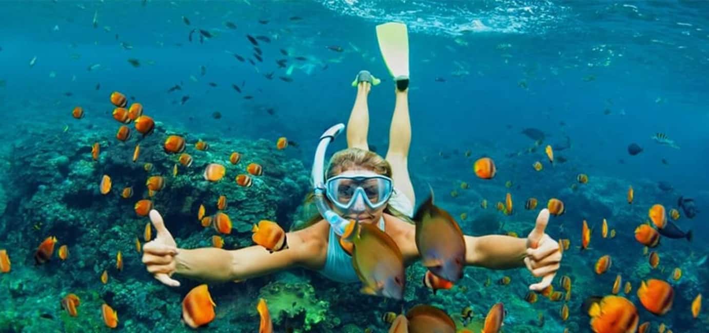 Hoi An/Da Nang: Cham Islands Snorkeling by Speedboat w Lunch - Guided snorkeling over coral gardens: what the 45–60 minutes can mean