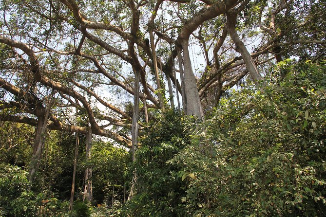 Jeep Tour Monkey Mountain & Son Tra Peninsula 3Hr - Linh Ung pagoda and the Lady Buddha statue: where the pace slows