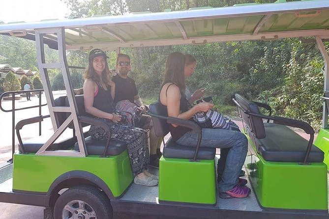 MY SON Tour & Hoi An Countryside with Basket Boat, Buffalo Ride,Farming Activity - Tra Que Vegetable Village: A Family Visit and Farm-Time Demonstrations