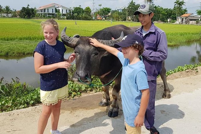 MY SON Tour & Hoi An Countryside with Basket Boat, Buffalo Ride,Farming Activity - Price and Value at $99: What You’re Actually Buying