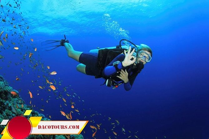 Private Cham Island Snorkeling Tour, Nice Beach, Fishing villages - Why Cu Lao Cham Is Worth a Full Day From Da Nang