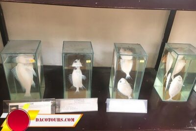 Private Cham Island Snorkeling Tour, Nice Beach, Fishing villages - Marble Carving Stop: Non Nuoc Stone Workshops Before the Sea