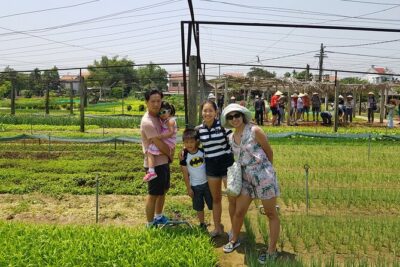 Vietnam Central Private Package Tour - My Son Sanctuary: ancient Cham ruins in a jungle setting